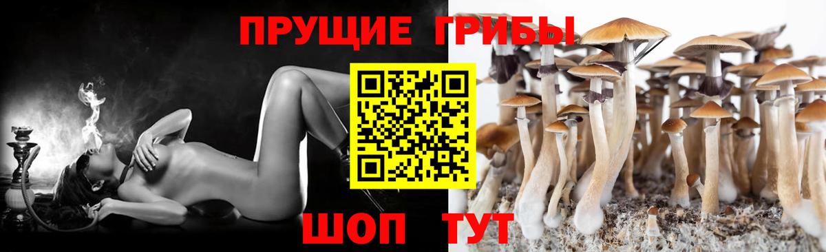 цены наркотик  Вход с VPN  Кинель  Галлюциногенные грибы Magic Shrooms 